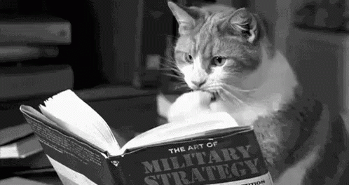 subject to mortgage: cat reading book